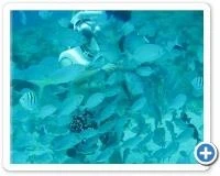 AquaNautas Bayahibe