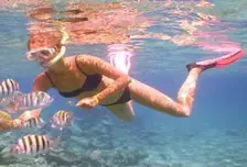 Canto Snorkel