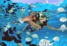 Canto Snorkel