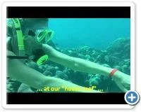 Hookah Dive Bayahibe