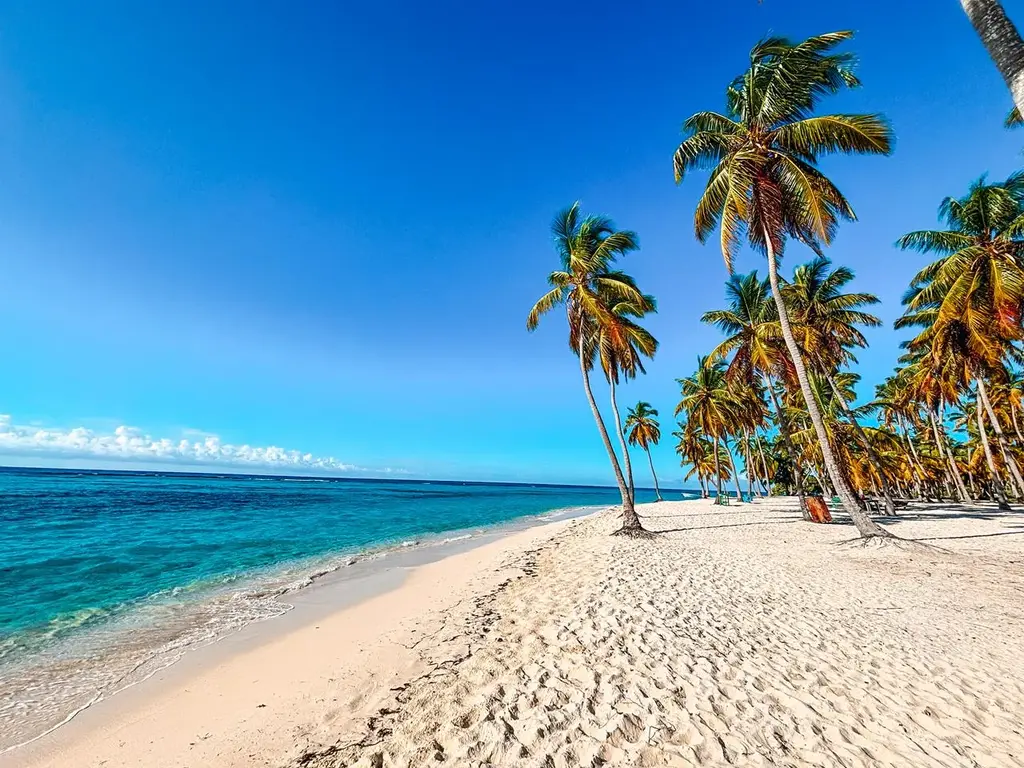 canto de la playa, the only pristine beach on saona island, dominican republic