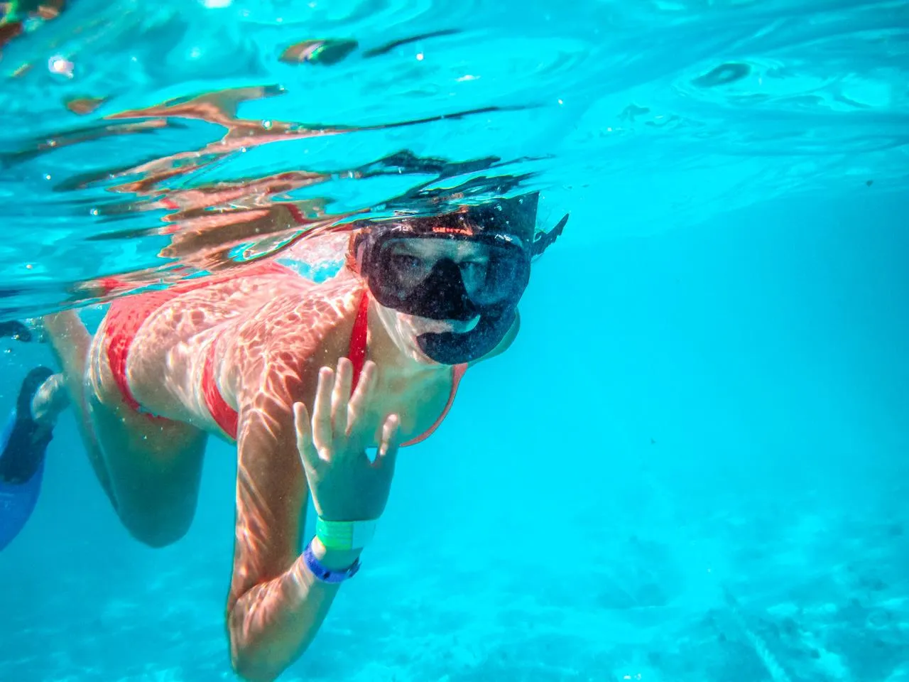 snorkeling at a shallow coral reef