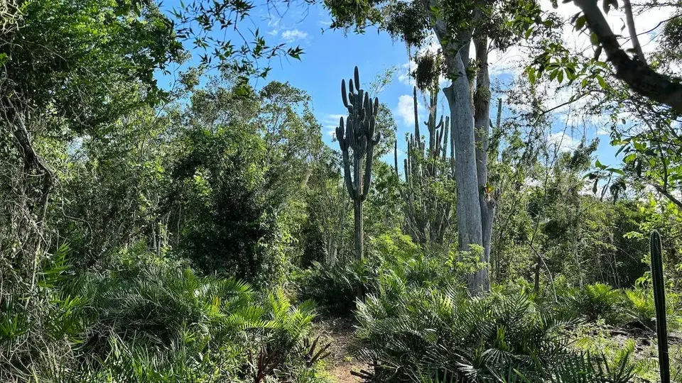 national park trail walk